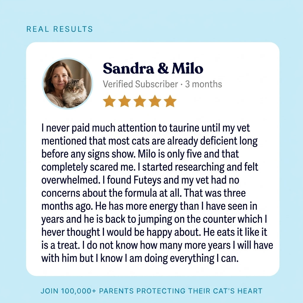 Light-blue review-style graphic with a small portrait of a woman holding a cat, a name line, five stars and a long block of review text